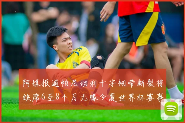 阿媒报道帕尼切利十字韧带断裂将缺席6至8个月无缘今夏世界杯赛事