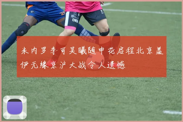 米内罗李可吴曦随申花启程北京盖伊无缘京沪大战令人遗憾