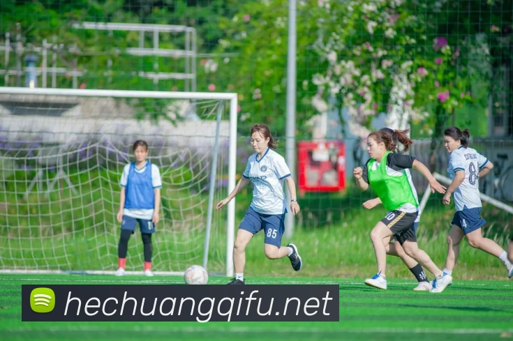 奖项证书